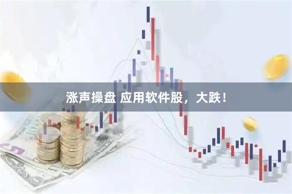 涨声操盘 应用软件股，大跌！
